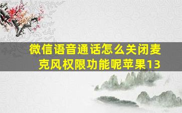 微信语音通话怎么关闭麦克风权限功能呢苹果13