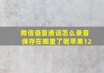 微信语音通话怎么录音保存在哪里了呢苹果12