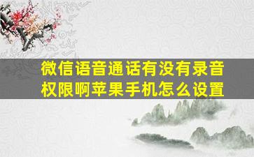 微信语音通话有没有录音权限啊苹果手机怎么设置