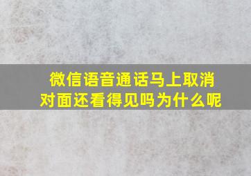 微信语音通话马上取消对面还看得见吗为什么呢