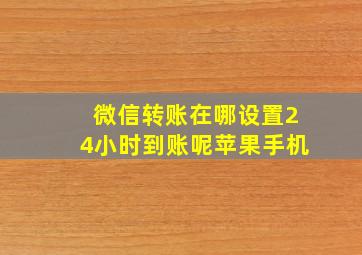 微信转账在哪设置24小时到账呢苹果手机