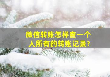 微信转账怎样查一个人所有的转账记录?