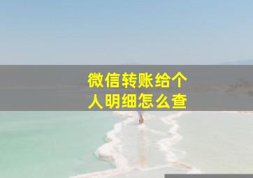 微信转账给个人明细怎么查