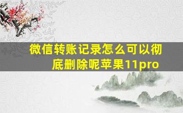 微信转账记录怎么可以彻底删除呢苹果11pro