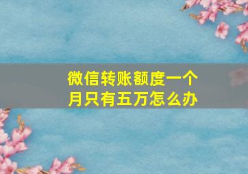 微信转账额度一个月只有五万怎么办