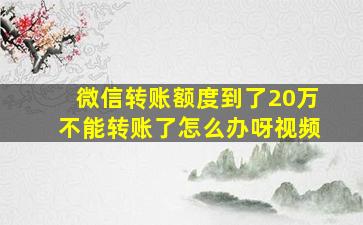 微信转账额度到了20万不能转账了怎么办呀视频