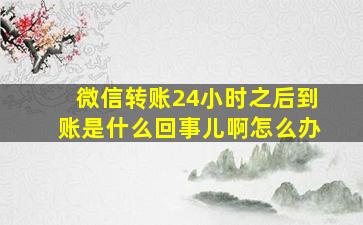 微信转账24小时之后到账是什么回事儿啊怎么办