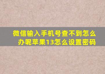 微信输入手机号查不到怎么办呢苹果13怎么设置密码