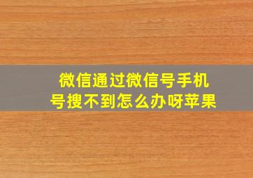 微信通过微信号手机号搜不到怎么办呀苹果