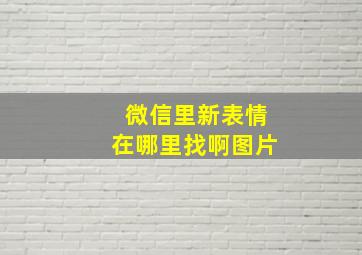 微信里新表情在哪里找啊图片