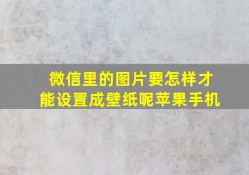 微信里的图片要怎样才能设置成壁纸呢苹果手机