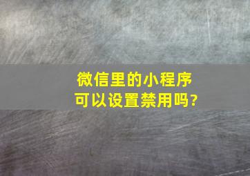 微信里的小程序可以设置禁用吗?