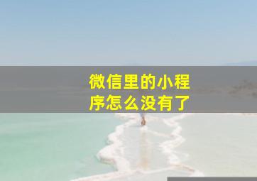 微信里的小程序怎么没有了