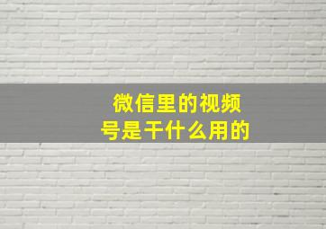 微信里的视频号是干什么用的