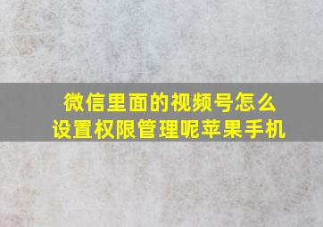 微信里面的视频号怎么设置权限管理呢苹果手机