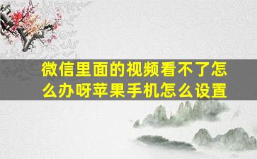 微信里面的视频看不了怎么办呀苹果手机怎么设置