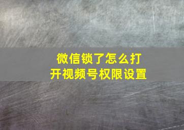 微信锁了怎么打开视频号权限设置