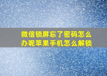 微信锁屏忘了密码怎么办呢苹果手机怎么解锁