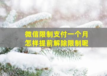 微信限制支付一个月怎样提前解除限制呢