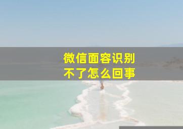 微信面容识别不了怎么回事