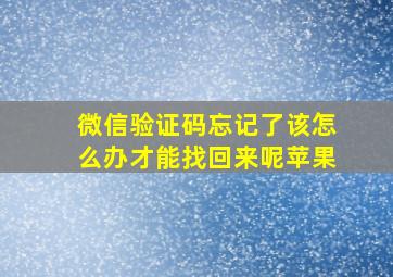 微信验证码忘记了该怎么办才能找回来呢苹果