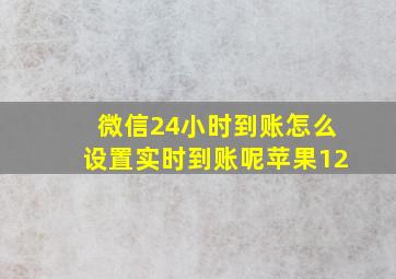 微信24小时到账怎么设置实时到账呢苹果12