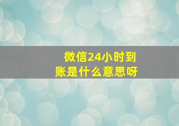 微信24小时到账是什么意思呀