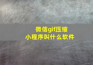 微信gif压缩小程序叫什么软件