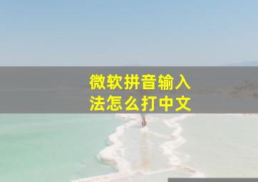 微软拼音输入法怎么打中文