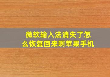 微软输入法消失了怎么恢复回来啊苹果手机