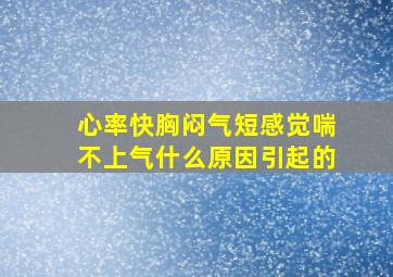 心率快胸闷气短感觉喘不上气什么原因引起的