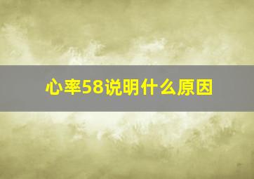 心率58说明什么原因