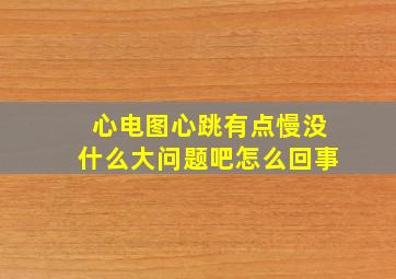 心电图心跳有点慢没什么大问题吧怎么回事