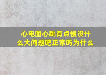 心电图心跳有点慢没什么大问题吧正常吗为什么