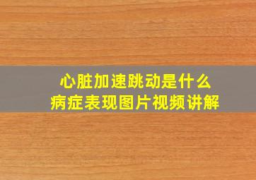 心脏加速跳动是什么病症表现图片视频讲解