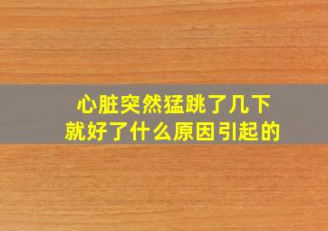 心脏突然猛跳了几下就好了什么原因引起的