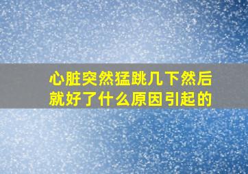 心脏突然猛跳几下然后就好了什么原因引起的