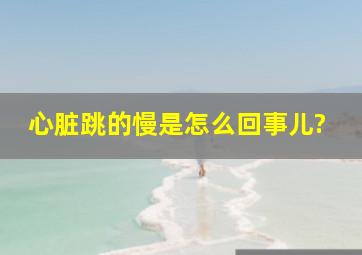 心脏跳的慢是怎么回事儿?