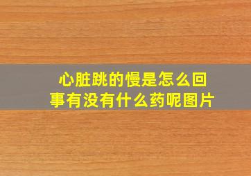 心脏跳的慢是怎么回事有没有什么药呢图片