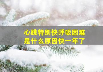 心跳特别快呼吸困难是什么原因快一年了