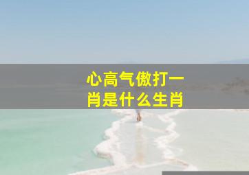 心高气傲打一肖是什么生肖