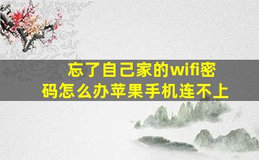 忘了自己家的wifi密码怎么办苹果手机连不上