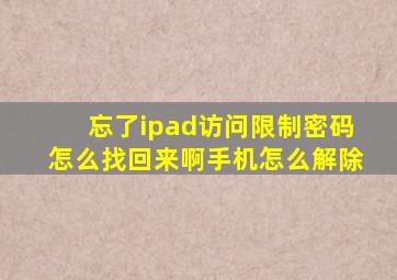 忘了ipad访问限制密码怎么找回来啊手机怎么解除