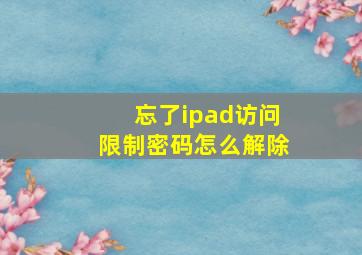 忘了ipad访问限制密码怎么解除