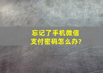 忘记了手机微信支付密码怎么办?