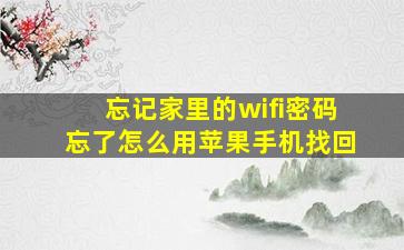 忘记家里的wifi密码忘了怎么用苹果手机找回