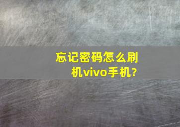 忘记密码怎么刷机vivo手机?