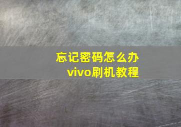 忘记密码怎么办vivo刷机教程