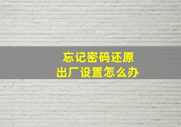 忘记密码还原出厂设置怎么办