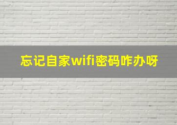 忘记自家wifi密码咋办呀